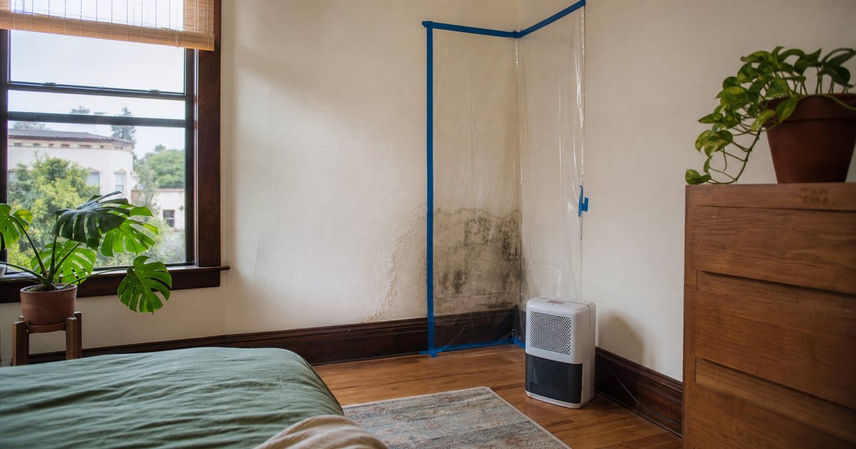 Contained moisture-damaged wall corner in a California rental prepared for professional assessment