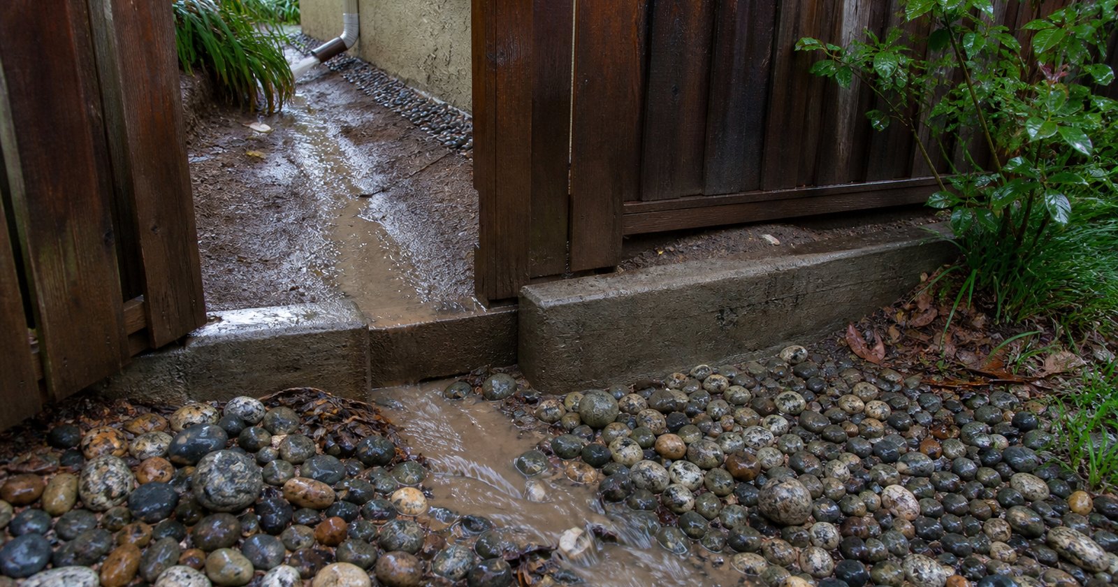 Rainwater crossing a landscaped property line between two California yards