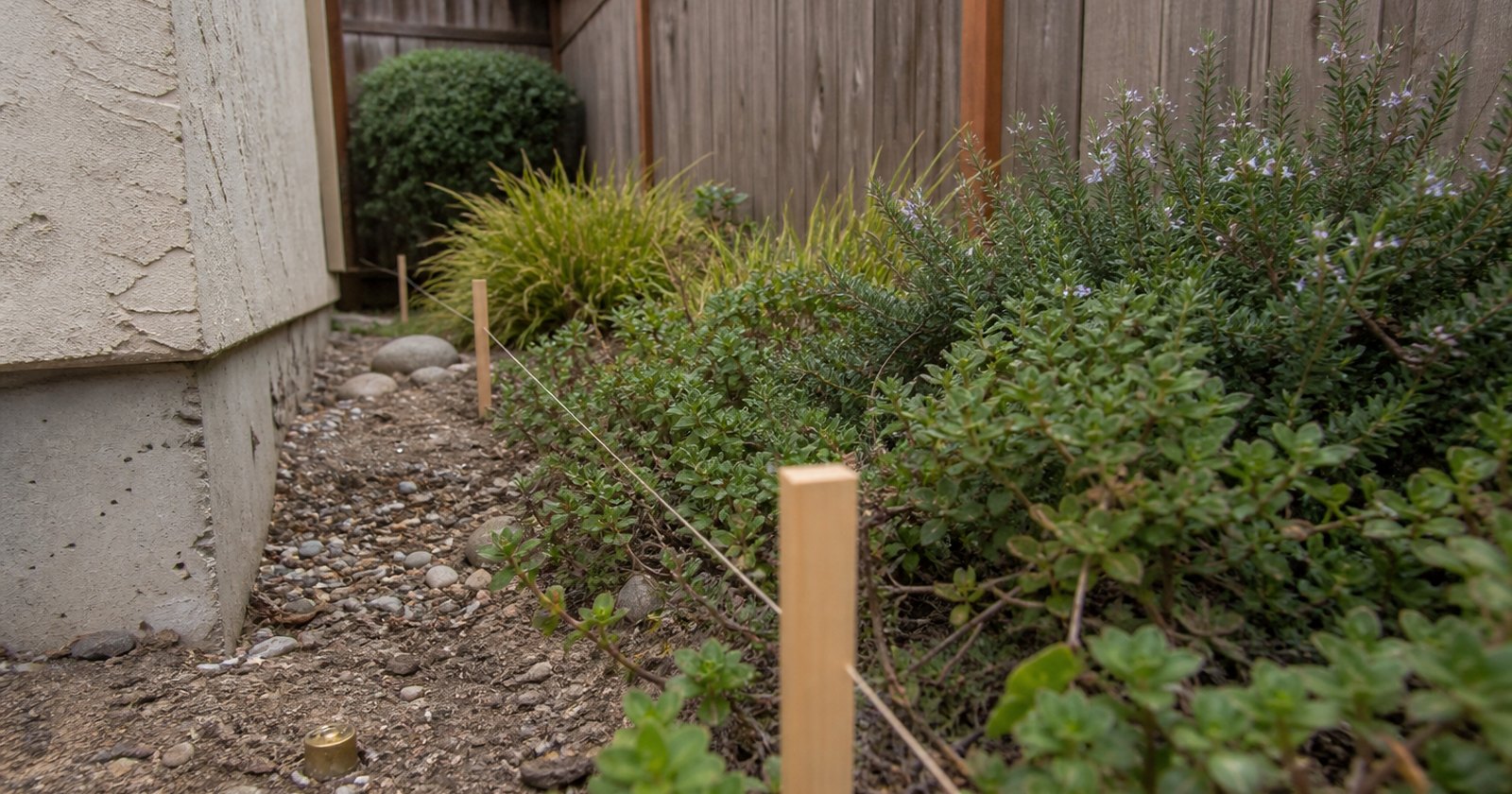 Survey pin and taut line marking a California residential property boundary
